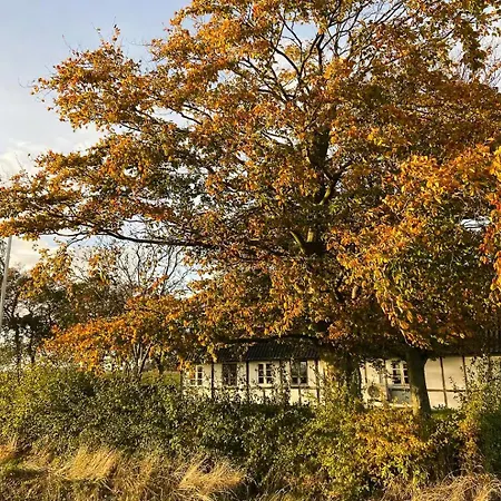 Spacious House In Lolland's Natural Landscape *