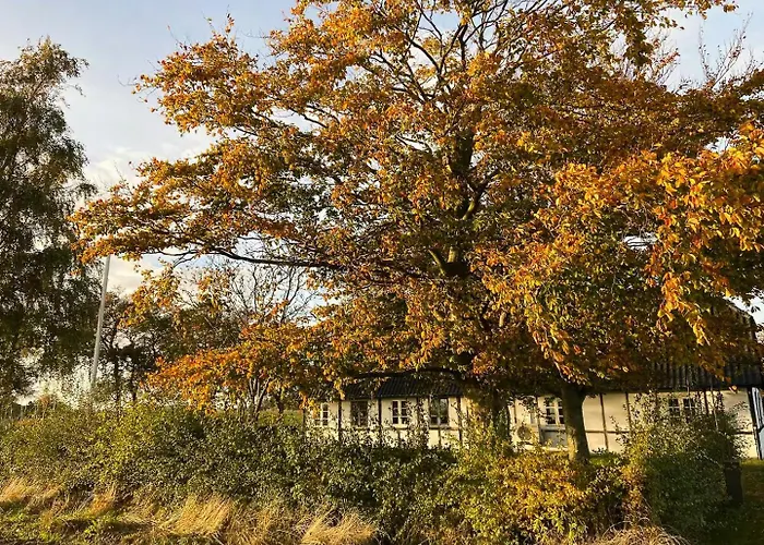 Spacious House In Lolland's Natural Landscape *